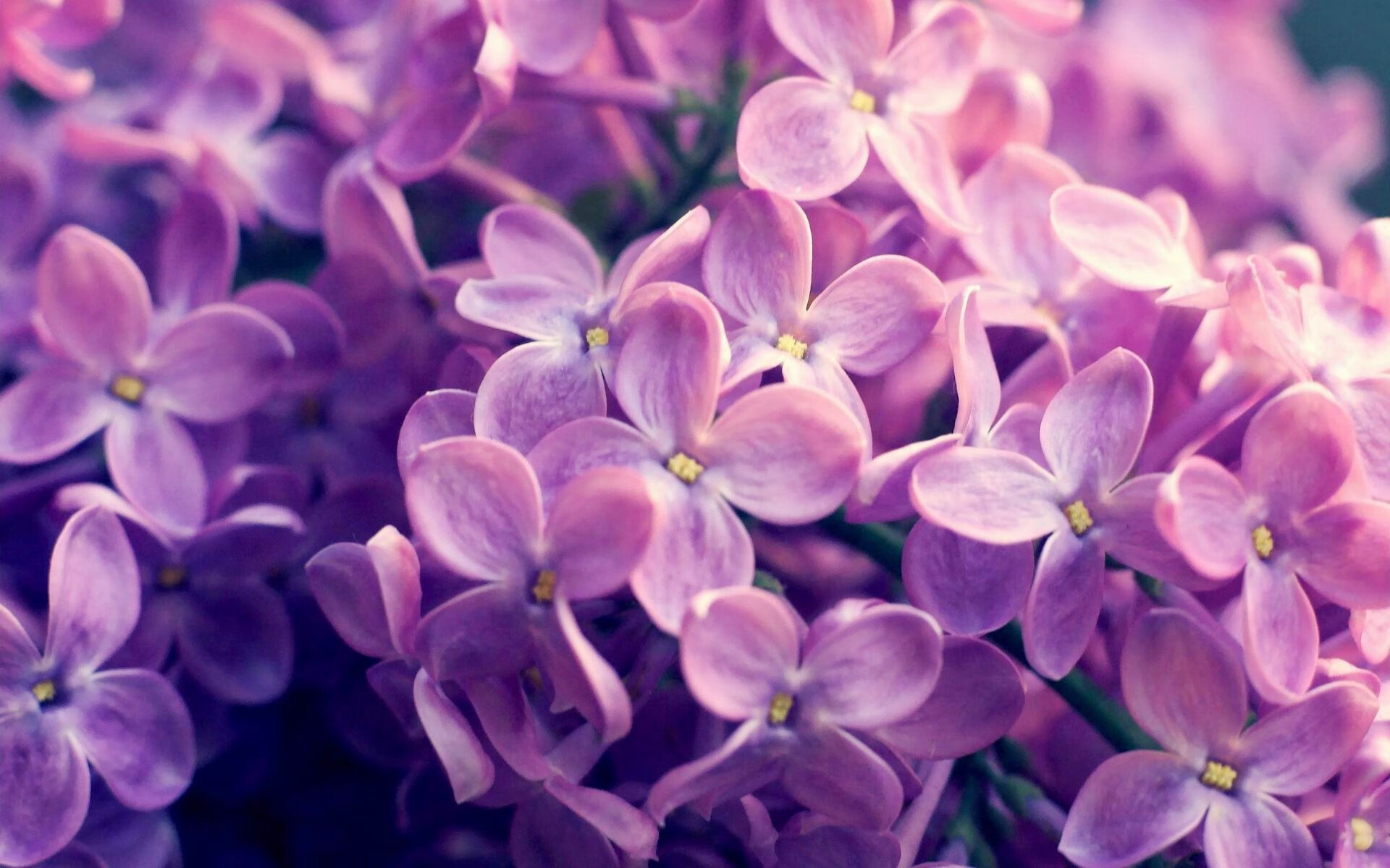 开云入口-史诗般的比赛：马拉松选手力争第一，21位马拉松选手