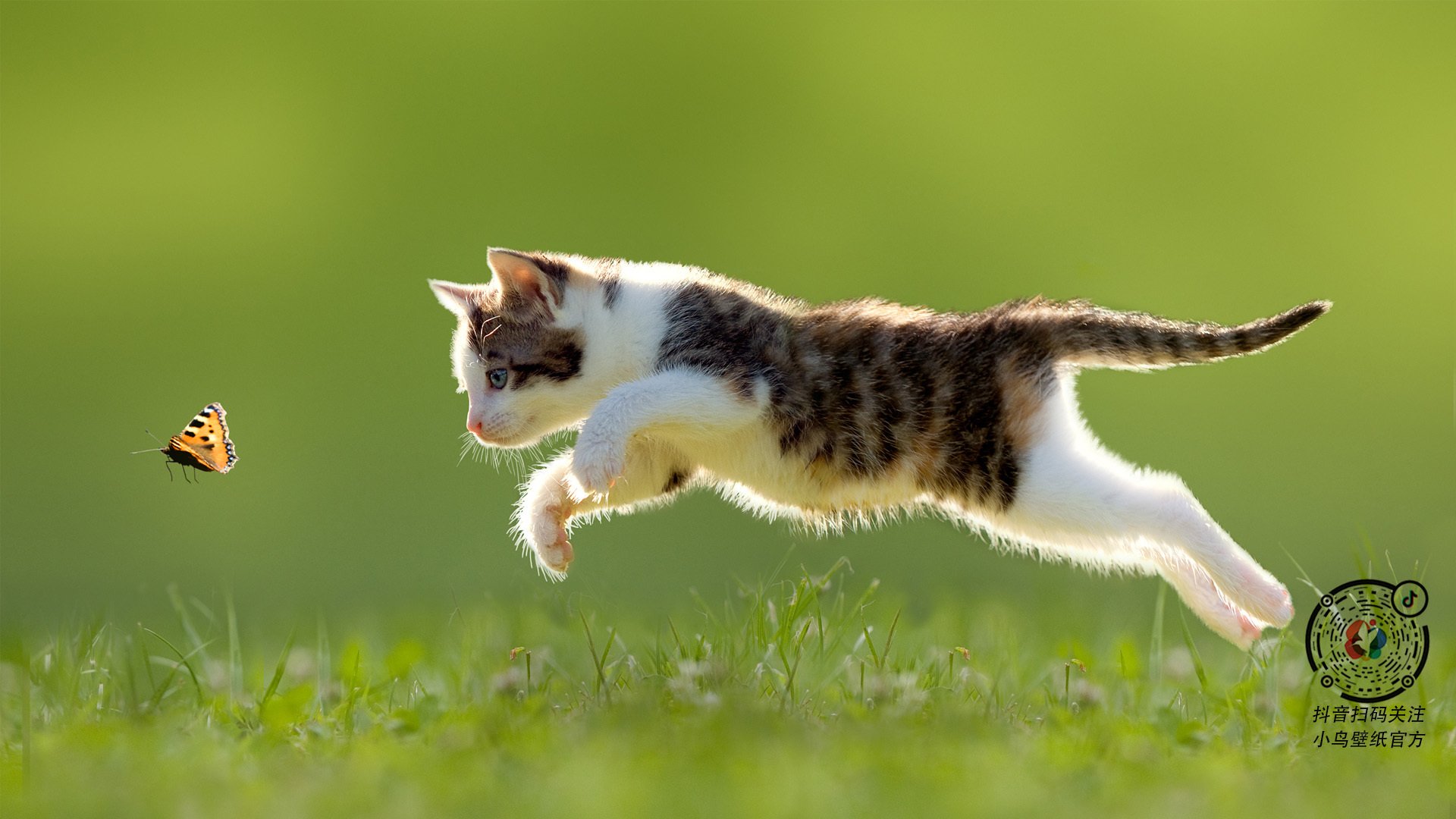 生活中的篮球:运动员的公益公益日常,公益篮球的宣传语