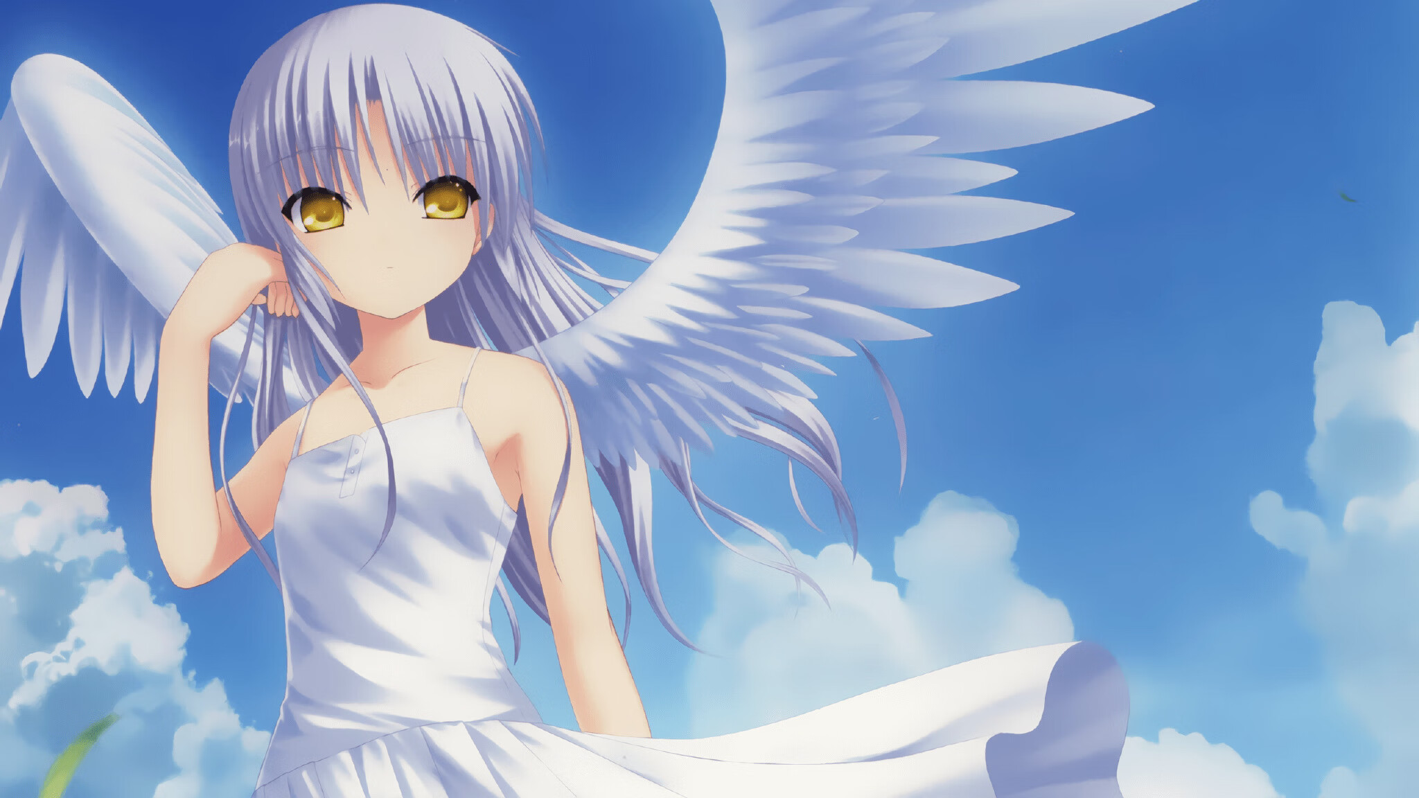 跨越洲际:WRC每年在不同国家的精彩表现,跨越cors