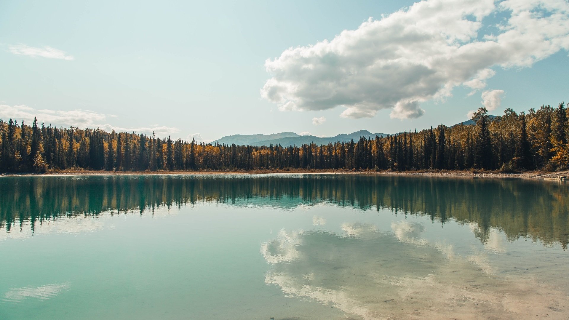 开云官方网页登录-雷霆进入重建第四年，新星亚历山大成长为巨头，雷霆的亚历山大去哪了