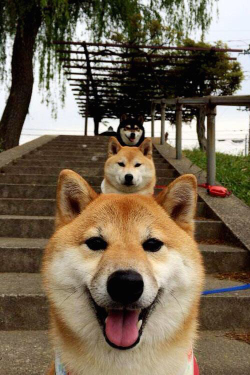 KPL战队间激烈对抗升级，kpls组队伍