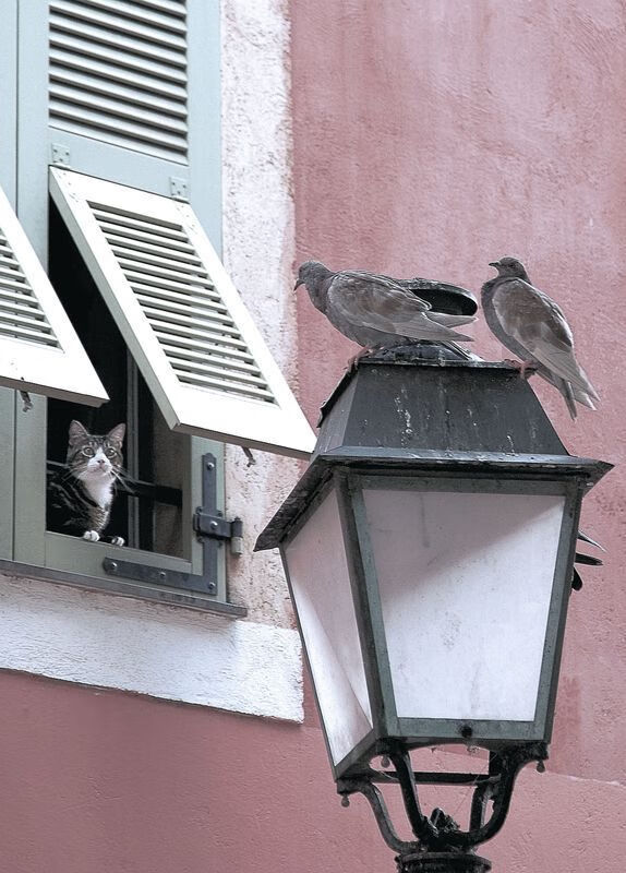 开云中国大陆-上海海港球队体能提升显著，上海海港队进球了