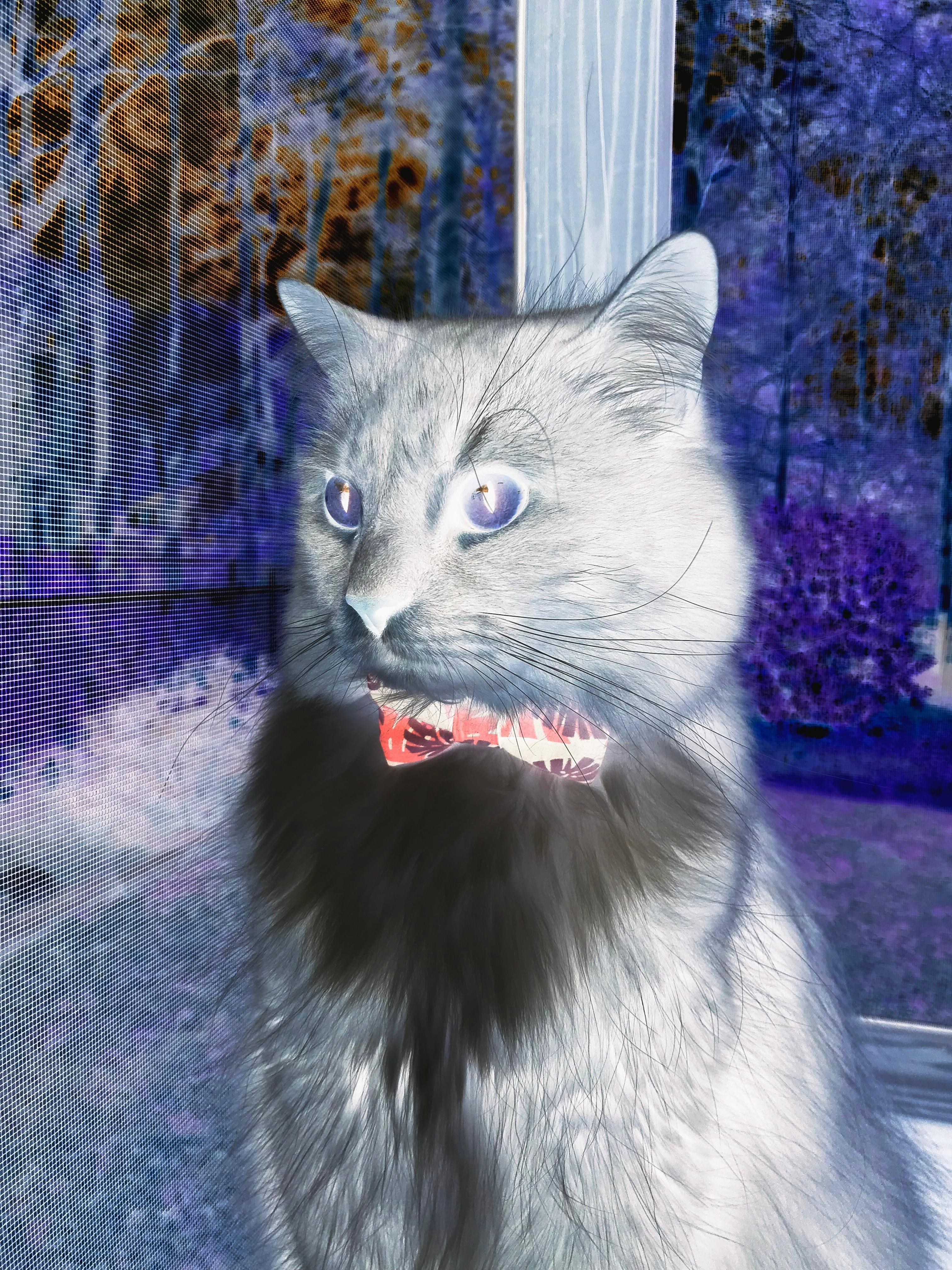 全北现代争冠形势回暖,全北现代比赛分析