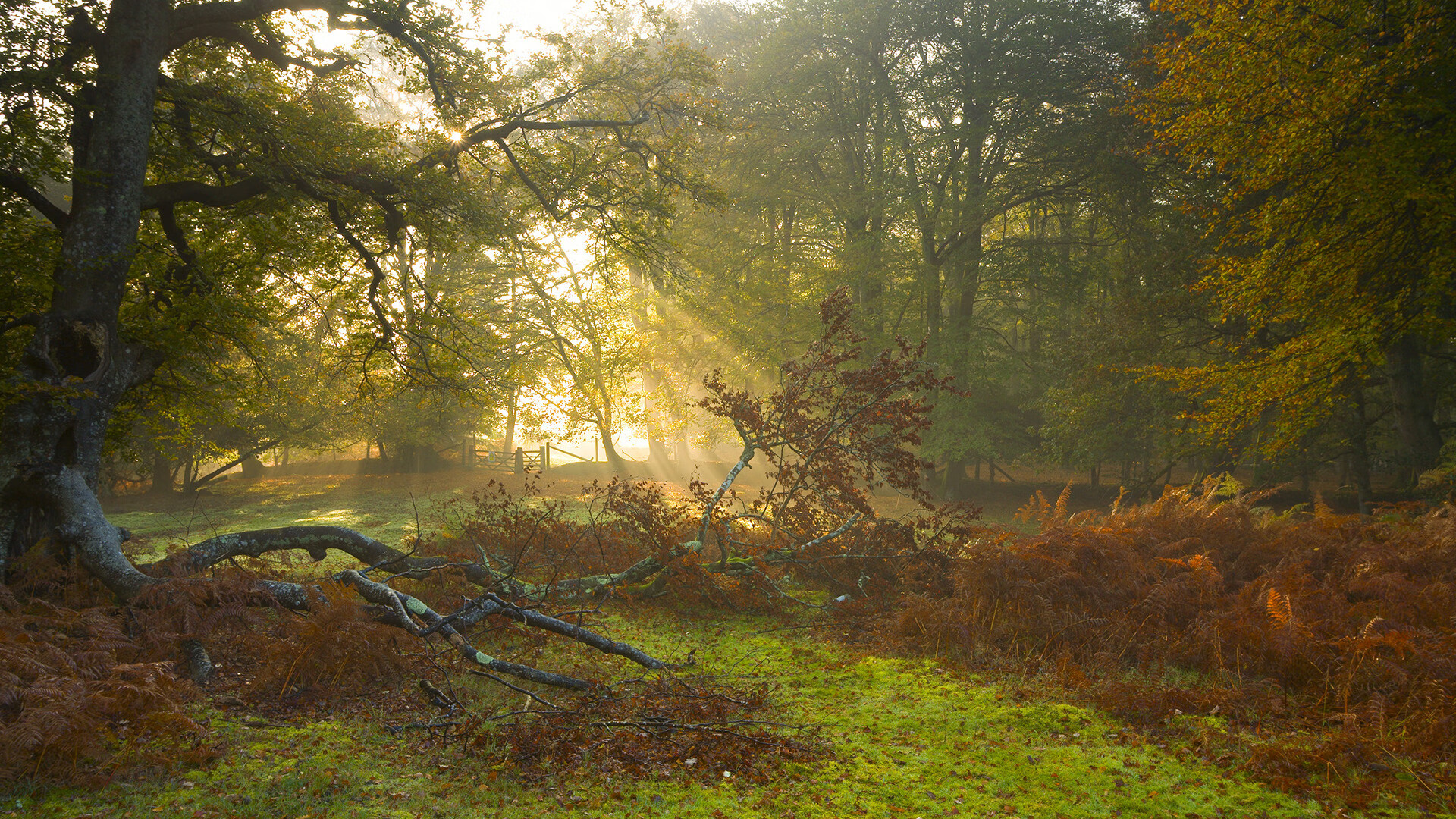 开云平台-克罗地亚队箭在弦上，掀翻对手夺得胜利，克罗地亚队友